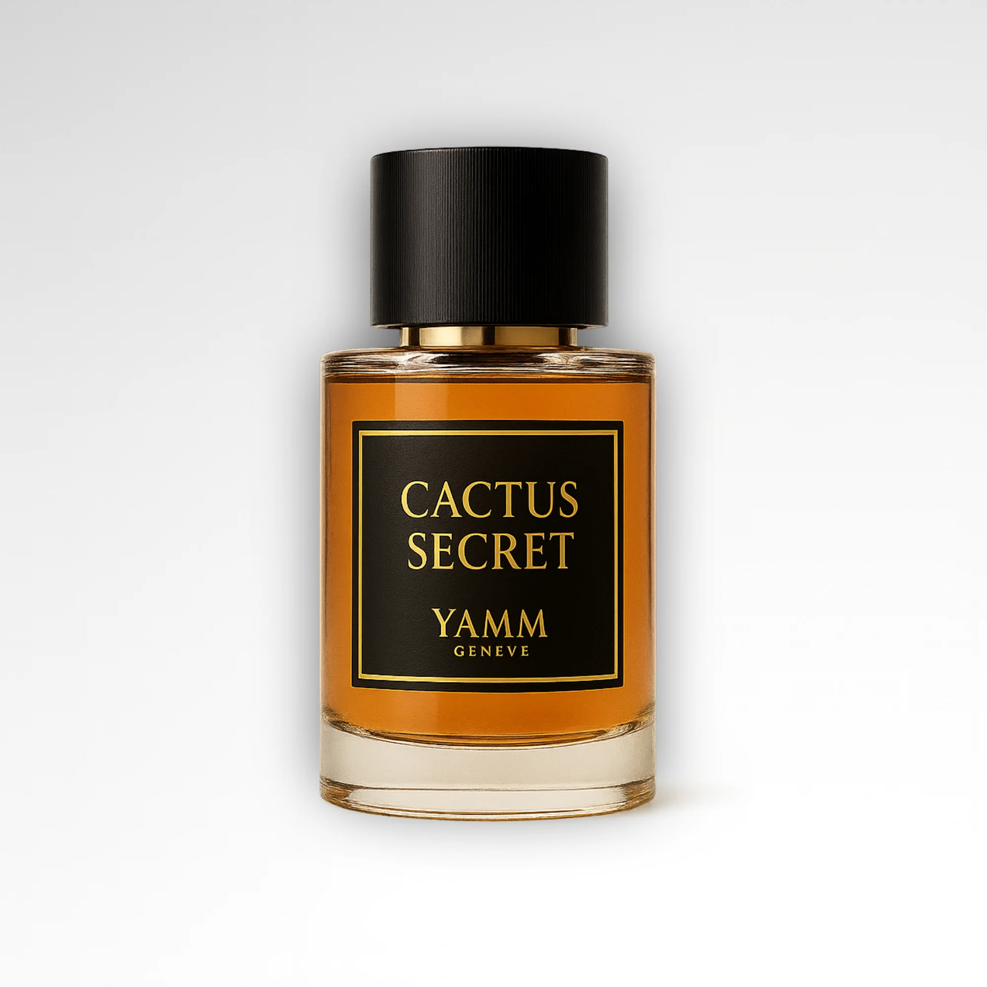 Mockup cactus de face