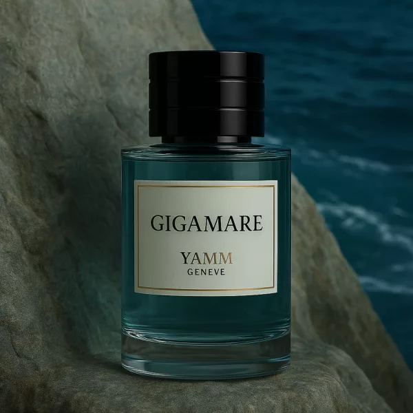 Inspiration Megamare Ortoparisi - Gigamare YAMM Genève Mockup