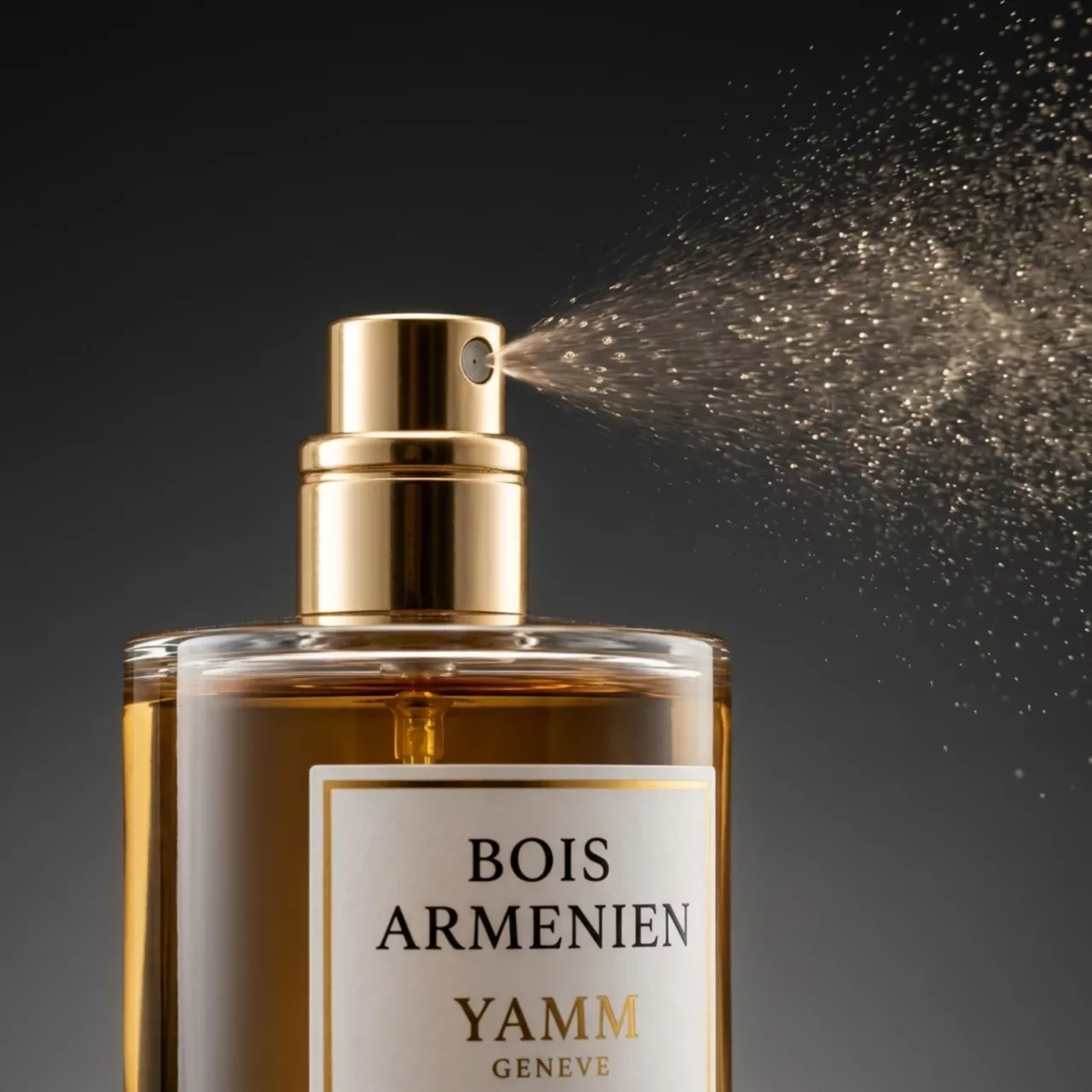 Bois Armenien extrait de parfum mixte YAMM Genève inspiré de Bois d'Arménie aux notes de tête Encens, Iris, Poivre rose, cœur Benjoin, Gaïac, Coriandre et fond Copaïba, Patchouli, Musc blanc visuel 06
