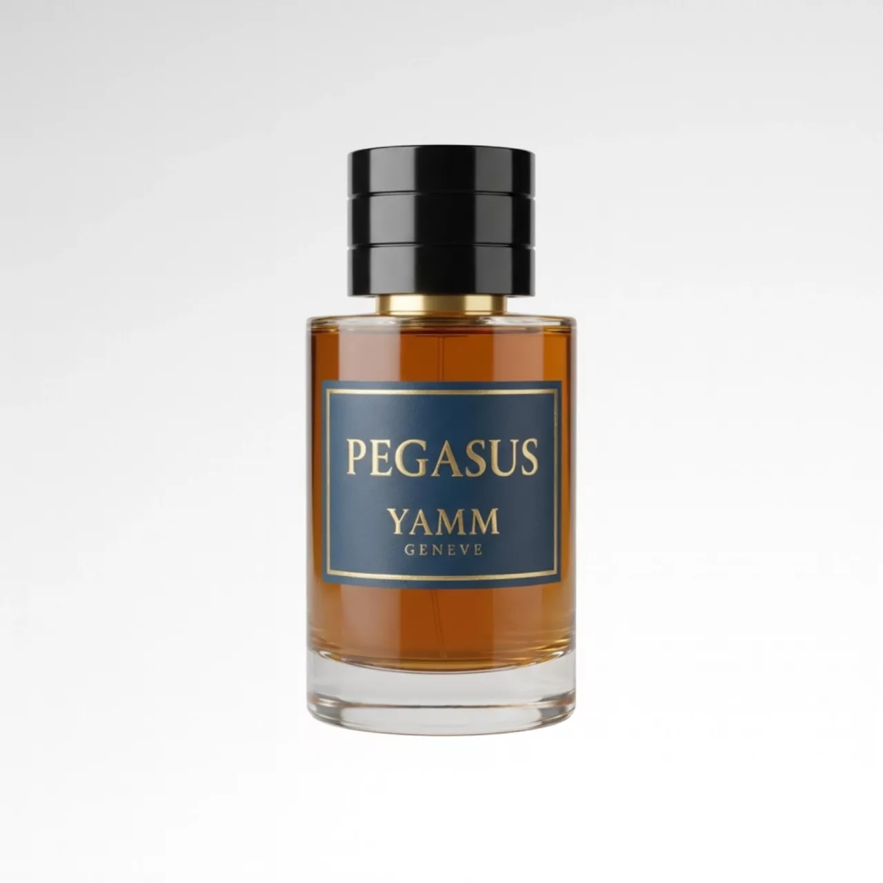 Pegasusmockuplvbg