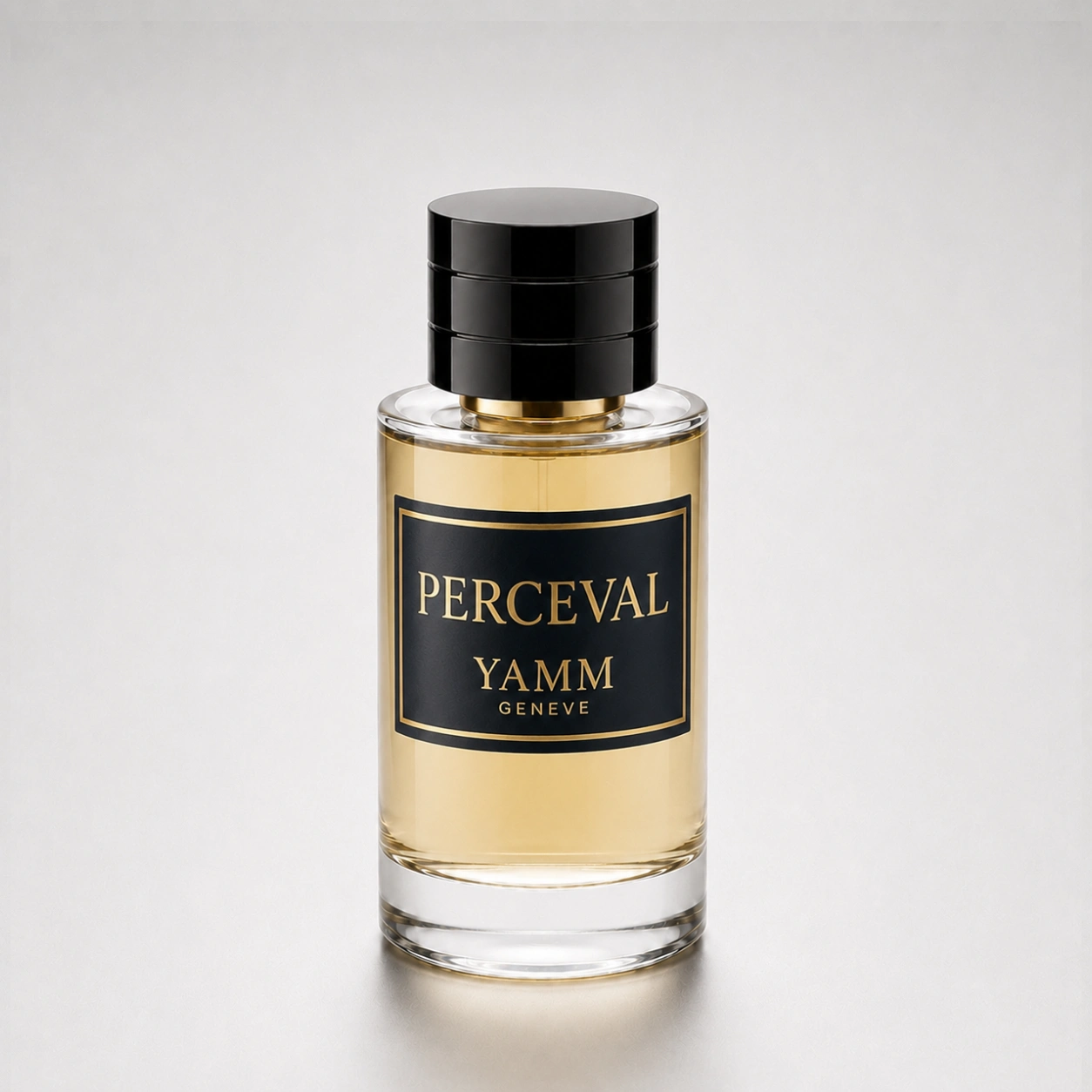 perceval1 PercevalMockUPface